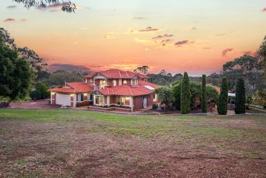 House For Sale - WA - Gooseberry Hill - 6076 - In a Word: Estate  (Image 2)