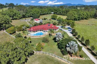 Acreage/Semi-rural Auction - QLD - The Dawn - 4570 - CALICO LODGE - THE JEWEL OF THE DAWN!  (Image 2)
