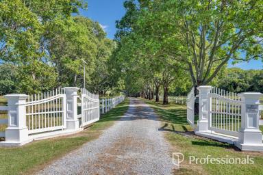 Acreage/Semi-rural Auction - QLD - The Dawn - 4570 - CALICO LODGE - THE JEWEL OF THE DAWN!  (Image 2)