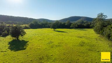 Lifestyle For Sale - NSW - Crawford River - 2423 - River Flats with a View  (Image 2)