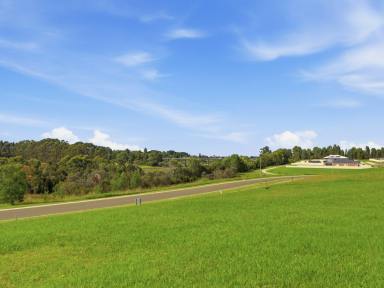 Residential Block For Sale - VIC - Nicholson - 3882 - FISH & BOAT - ENJOY THE RIVER & GIPPSLAND LAKES  (Image 2)