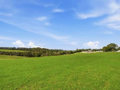 Residential Block For Sale - VIC - Nicholson - 3882 - LIVE BY THE WATER IN BEAUTIFUL NICHOLSON  (Image 2)