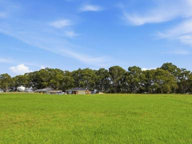 Residential Block For Sale - VIC - Nicholson - 3882 - LIVE BY THE WATER IN BEAUTIFUL NICHOLSON  (Image 2)