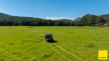 Lifestyle For Sale - NSW - Crawford River - 2423 - Lyndale - A Rare River Property of Exceptional Distinction  (Image 2)