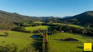 Lifestyle For Sale - NSW - Crawford River - 2423 - Lyndale - A Rare River Property of Exceptional Distinction  (Image 2)