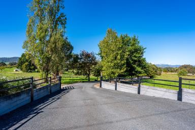 Farmlet Auction - VIC - Kergunyah - 3691 - Presenting an exceptional opportunity to acquire a distinguished Kiewa River property in the renowned northeast Victoria region.  (Image 2)