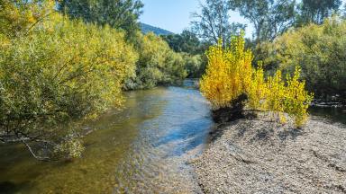 Farmlet Auction - VIC - Kergunyah - 3691 - Presenting an exceptional opportunity to acquire a distinguished Kiewa River property in the renowned northeast Victoria region.  (Image 2)