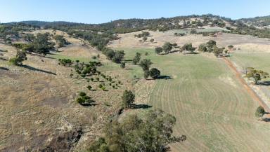 Other (Rural) For Sale - WA - Toodyay - 6566 - FERTILE SOILS & LIFESTYLE APPEAL  (Image 2)