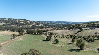 Other (Rural) For Sale - WA - Toodyay - 6566 - FERTILE SOILS & LIFESTYLE APPEAL  (Image 2)