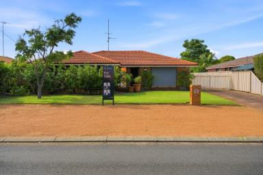 House For Sale - WA - East Bunbury - 6230 - Neat 4x1 with Workshop, Side Access & Huge Block  (Image 2)