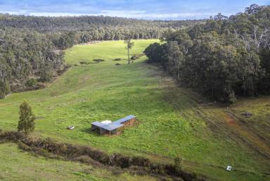 House For Sale - WA - East Nannup - 6275 - Stunning Vistas; Productive Acreage; Off grid living  (Image 2)