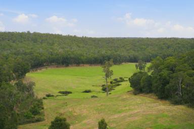 House For Sale - WA - East Nannup - 6275 - Stunning Vistas; Productive Acreage; Off grid living  (Image 2)