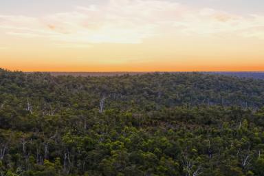 House For Sale - WA - East Nannup - 6275 - Stunning Vistas; Productive Acreage; Off grid living  (Image 2)
