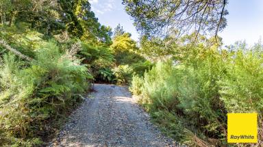 Residential Block For Sale - VIC - Mount Best - 3960 - A Rare Slice of History in the Heart of the Bush  (Image 2)