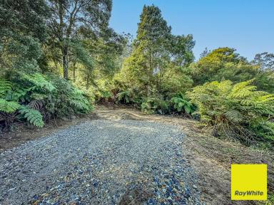 Residential Block For Sale - VIC - Mount Best - 3960 - A Rare Slice of History in the Heart of the Bush  (Image 2)