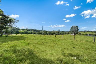 House For Sale - QLD - Armstrong Creek - 4520 - Ultimate Acreage Lifestyle with Serious Shedding & Space for Livestock  (Image 2)