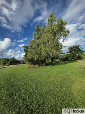 Residential Block For Sale - QLD - Tully Heads - 4854 - Build Your Dream by the Sea  (Image 2)