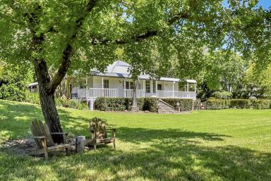 Lifestyle For Sale - NSW - Laguna - 2325 - 'Inglebrae' - Rural Indulgence  (Image 2)