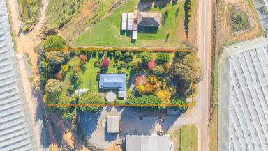 House For Sale - VIC - Buffalo River - 3737 - Your Buffalo River Sanctuary  (Image 2)