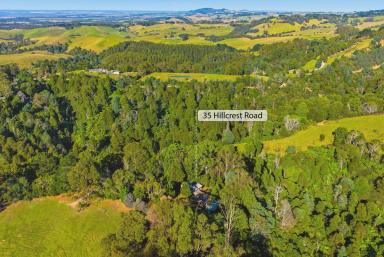 House For Sale - VIC - Woorarra West - 3960 - Sustainable sanctuary surrounded by nature  (Image 2)