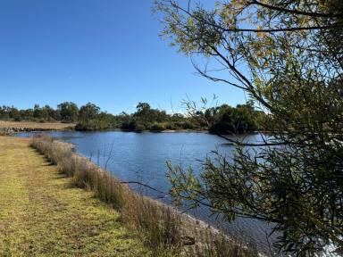 House For Sale - QLD - Dalcouth - 4380 - Stanthorpe - Lifestyle - Location - Loads of Water  (Image 2)