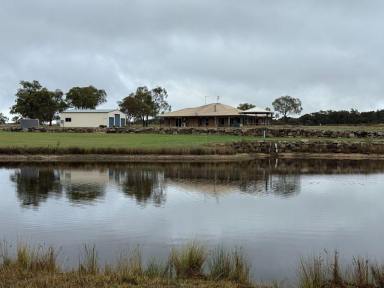 House For Sale - QLD - Dalcouth - 4380 - Stanthorpe - Lifestyle - Location - Loads of Water (Image 2)