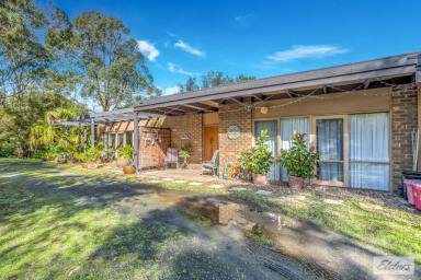 Cropping For Sale - VIC - Tanjil South - 3825 - Mid Century Modern Retreat - 3km from Town.  (Image 2)