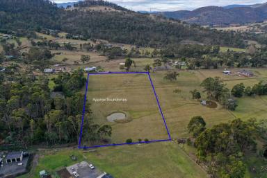 Residential Block For Sale - TAS - Lachlan - 7140 - Peaceful Lifestyle Acreage in Sought-After Lachlan  (Image 2)