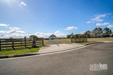 Residential Block For Sale - TAS - Cressy - 7302 - Peace, Privacy & Potential – Build Your Future in Cressy  (Image 2)