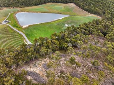 Residential Block For Sale - TAS - York Town - 7270 - On the Door step of the Dazzler Range!  (Image 2)