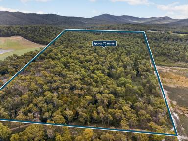 Residential Block For Sale - TAS - York Town - 7270 - On the Door step of the Dazzler Range!  (Image 2)