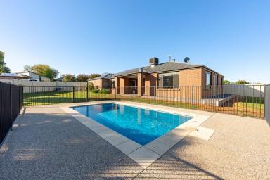 House For Sale - NSW - Buronga - 2739 - COMPLETE FAMILY PACKAGE  (Image 2)