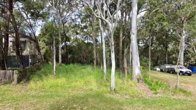 Residential Block For Sale - QLD - Macleay Island - 4184 - Elevated Position - Walk To The Water &  The Macleay Island Golf Club  (Image 2)