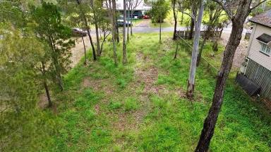 Residential Block For Sale - QLD - Macleay Island - 4184 - Elevated Position - Walk To The Water &  The Macleay Island Golf Club  (Image 2)