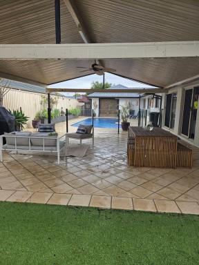 House For Sale - QLD - Little Mountain - 4551 - Large Entertainers Home  (Image 2)