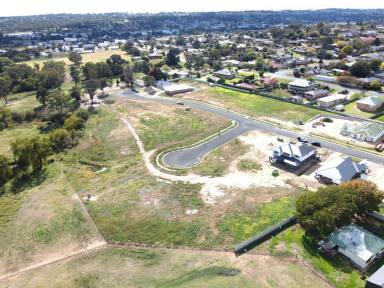 Residential Block For Sale - NSW - Young - 2594 - Large Block, Bigger Potential  (Image 2)