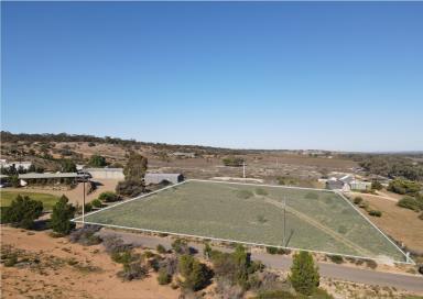 Residential Block For Sale - SA - Younghusband - 5238 - Build Your River Escape - Over 5,000sqm - Just Minutes walk from the Murray  (Image 2)