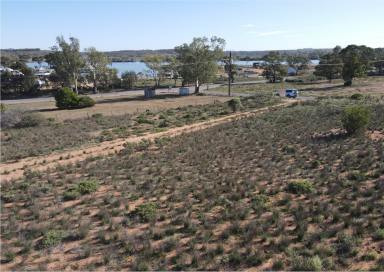 Residential Block For Sale - SA - Younghusband - 5238 - Build Your River Escape - Over 5,000sqm - Just Minutes walk from the Murray  (Image 2)