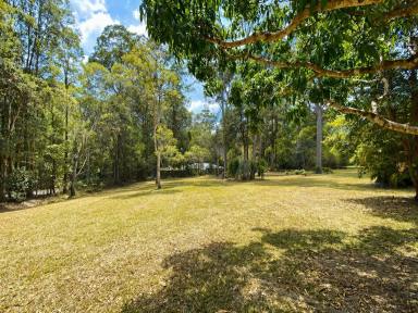 House For Sale - QLD - Pomona - 4568 - Peaceful Noosa Hinterland Living  (Image 2)