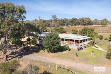 House For Sale - VIC - Lockwood South - 3551 - Two Homes, One Exceptional Lifestyle. A Rare Dual-Occupancy Opportunity on 21 Acres  (Image 2)