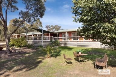 House For Sale - VIC - Lockwood South - 3551 - Two Homes, One Exceptional Lifestyle. A Rare Dual-Occupancy Opportunity on 21 Acres  (Image 2)