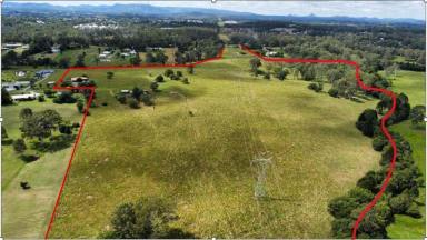 Acreage/Semi-rural For Sale - QLD - Southside - 4570 - Development land - zoned right  (Image 2)