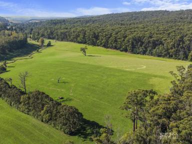 Dairy For Sale - VIC - Boolarra South - 3870 - Productive Dairy / Livestock Grazing  (Image 2)
