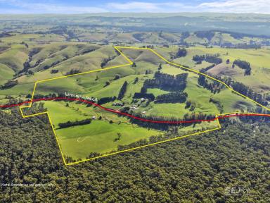 Dairy For Sale - VIC - Boolarra South - 3870 - Productive Dairy / Livestock Grazing  (Image 2)