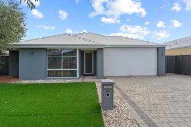 House For Sale - WA - Baldivis - 6171 - **Spacious Family Living on a Generous 541sqm Block in Prime Baldivis Location**  (Image 2)
