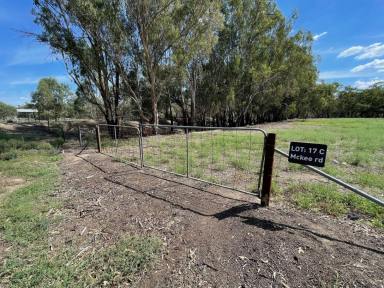 Residential Block For Sale - VIC - Echuca Village - 3564 - 1.2 ACRES- WALKING TO MURRAY RIVER  (Image 2)