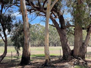Residential Block For Sale - VIC - Echuca Village - 3564 - 2 ACRES- WALKING TO MURRAY RIVER  (Image 2)