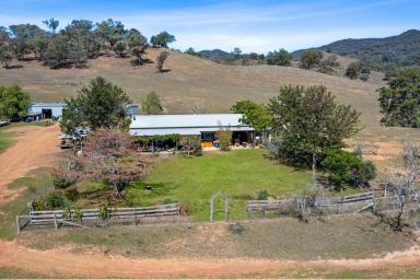 Lifestyle For Sale - NSW - Mudgee - 2850 - "AINSLEY PARK"  (Image 2)