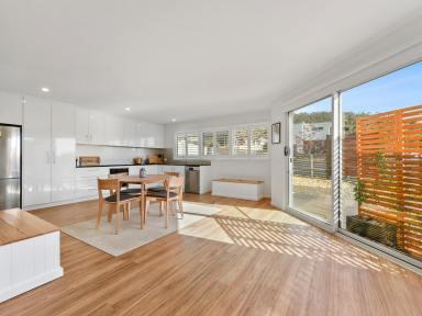 House For Sale - TAS - Bicheno - 7215 - Effortless Coastal Living with Strong Investment Appeal  (Image 2)