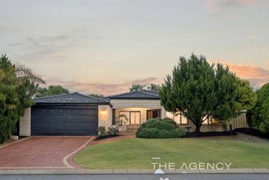 House For Sale - WA - Carramar - 6031 - SPACIOUS FAMILY LIVING WITH RESORT-STYLE POOL  (Image 2)